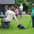 A black labrador in the beer garden, A Weekend in the Camper Van, West Harling, Norfolk - 21st June 2014