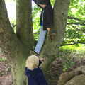 The boys climb a tree, A Weekend in the Camper Van, West Harling, Norfolk - 21st June 2014