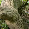 Cool grooves in a fall tree trunk, A Weekend in the Camper Van, West Harling, Norfolk - 21st June 2014