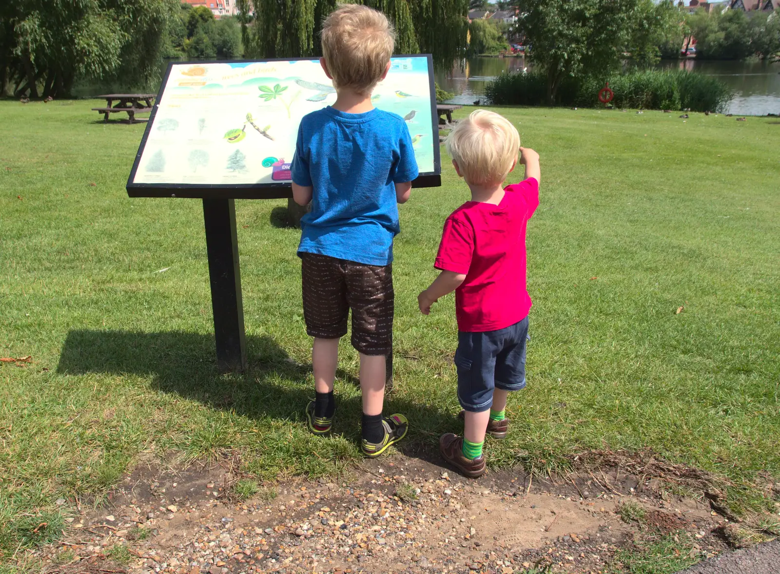 Fred reads the info board, from A Busy Day and a Church Fair, Diss, Norfolk - 28th June 2014