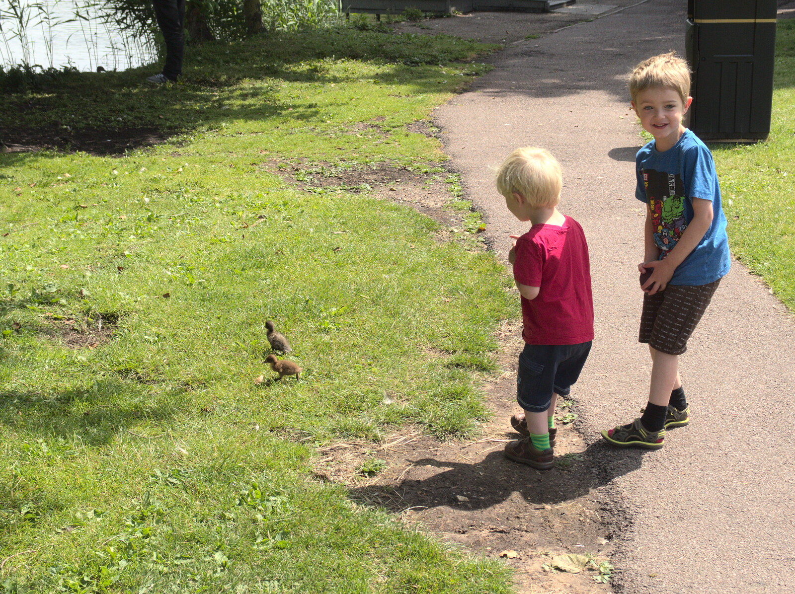 Harry and Fred look at fluffy ducklings from A Busy Day and a Church Fair, Diss, Norfolk - 28th June 2014