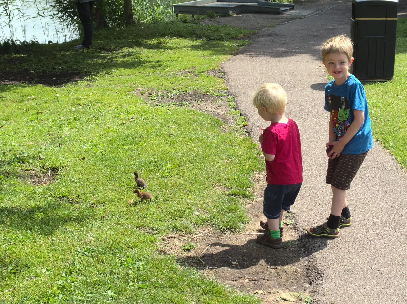 Harry and Fred look at fluffy ducklings, from A Busy Day and a Church Fair, Diss, Norfolk - 28th June 2014