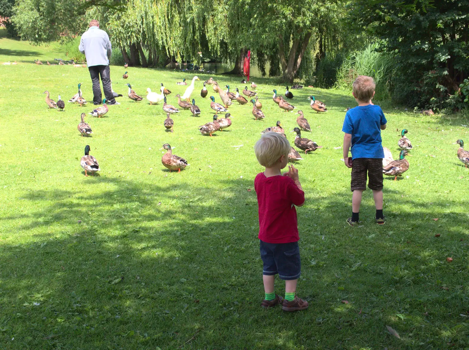 The boys follow ducks around, from A Busy Day and a Church Fair, Diss, Norfolk - 28th June 2014