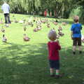 The boys follow ducks around, A Busy Day and a Church Fair, Diss, Norfolk - 28th June 2014