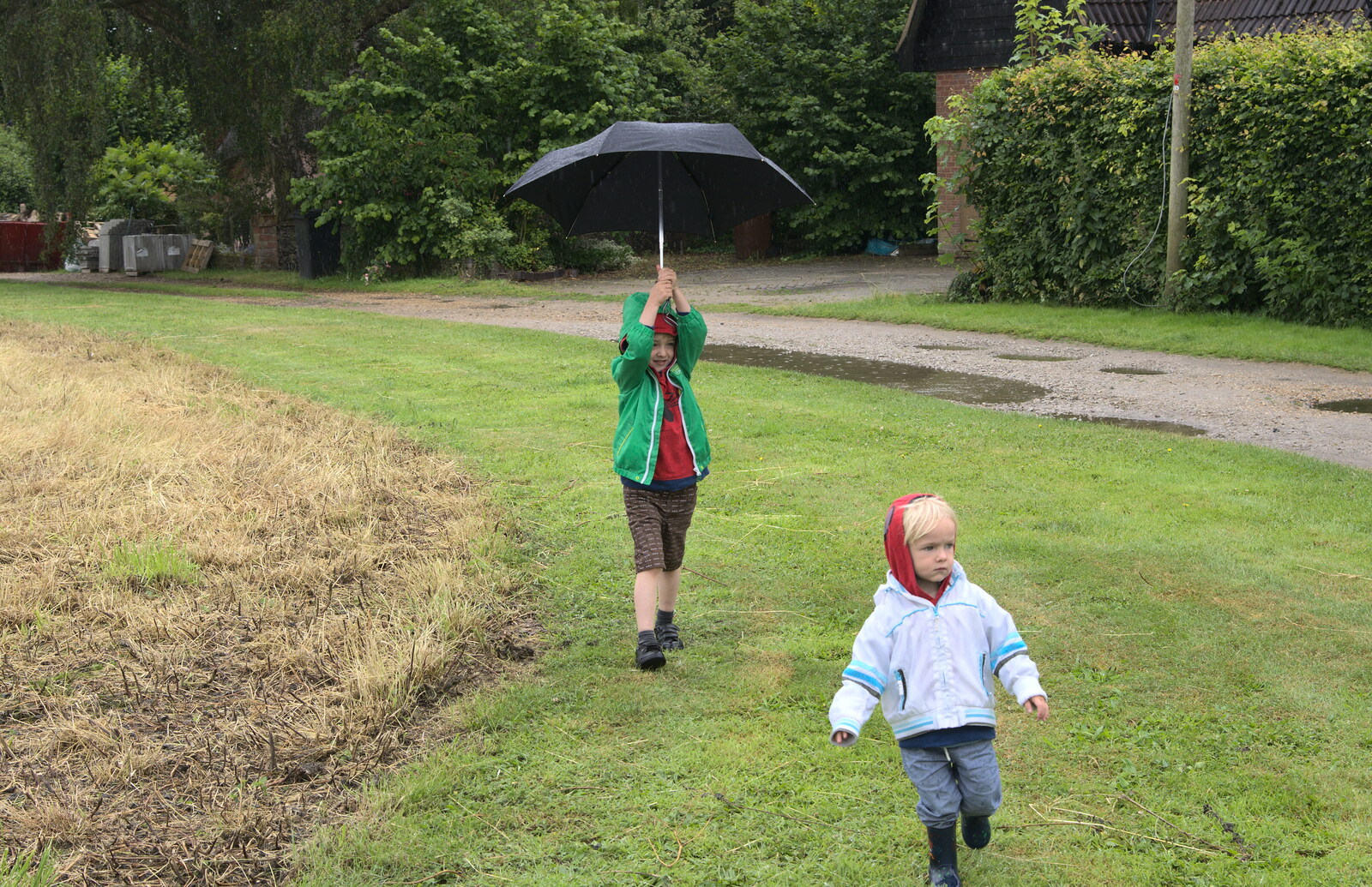 Fred and Harry roam around in the rain from Thrandeston Pig, Little Green, Thrandeston, Suffolk - 29th June 2014