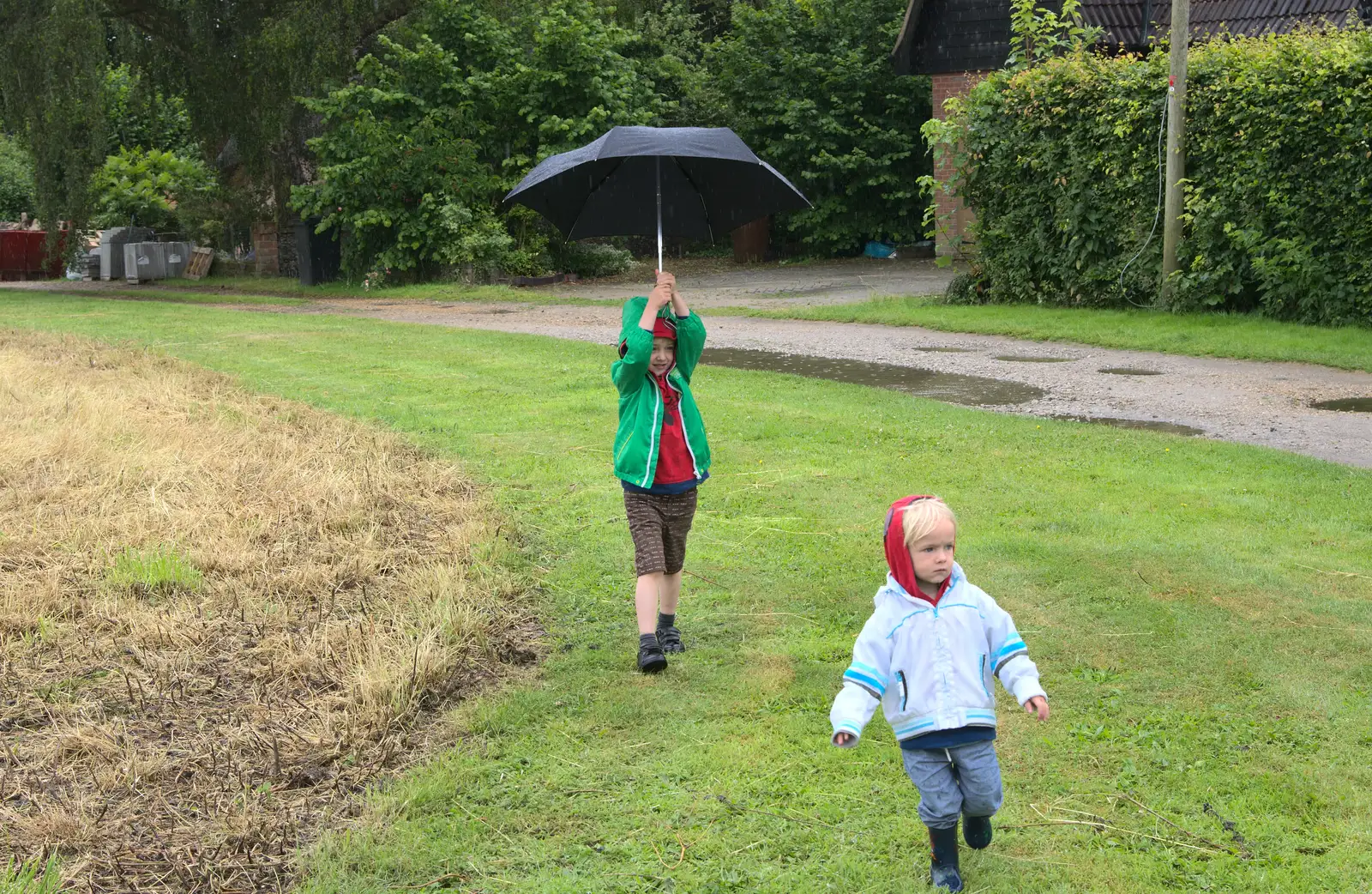 Fred and Harry roam around in the rain, from Thrandeston Pig, Little Green, Thrandeston, Suffolk - 29th June 2014