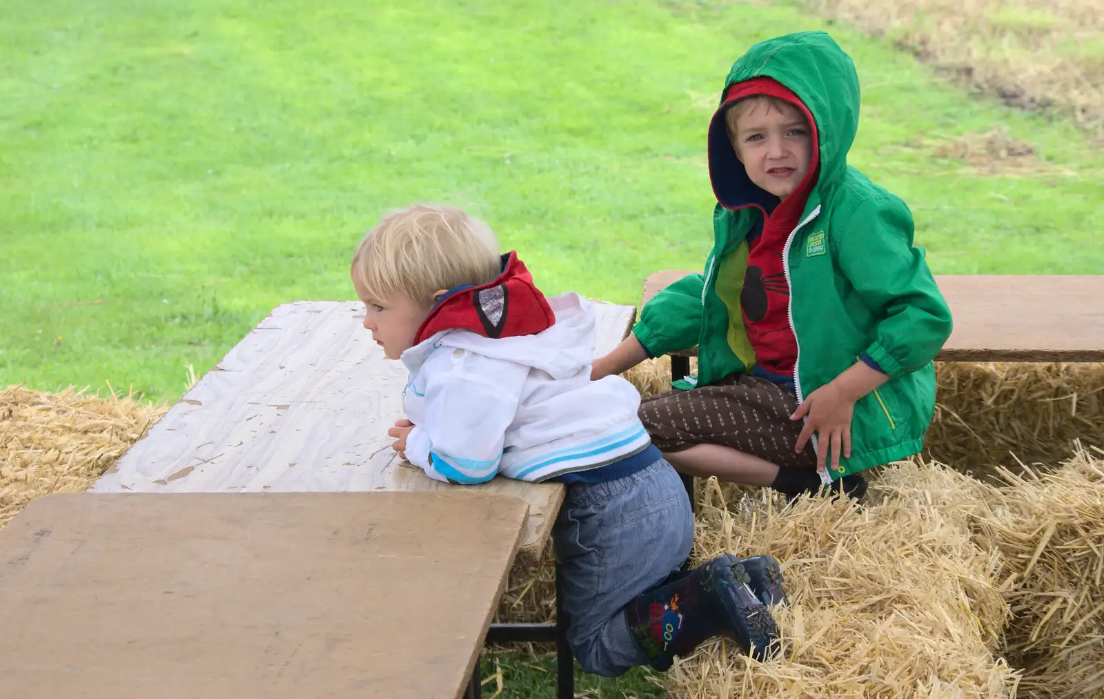 Harry and Fred in the straw, from Thrandeston Pig, Little Green, Thrandeston, Suffolk - 29th June 2014