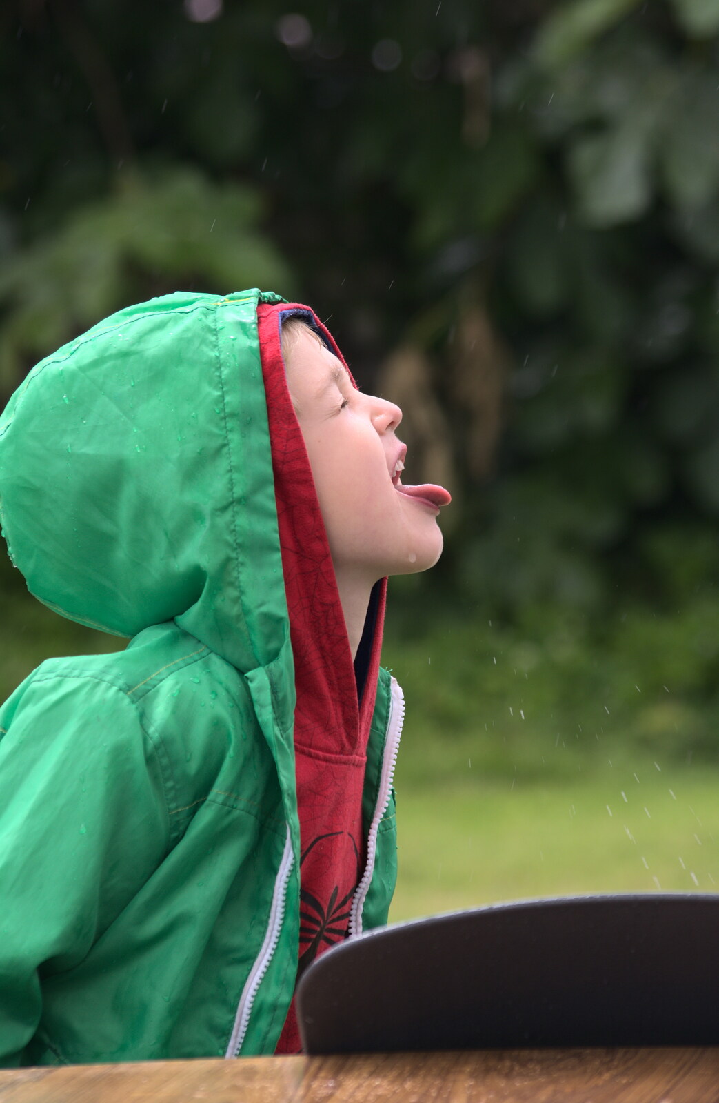 Fred catches rain from Thrandeston Pig, Little Green, Thrandeston, Suffolk - 29th June 2014