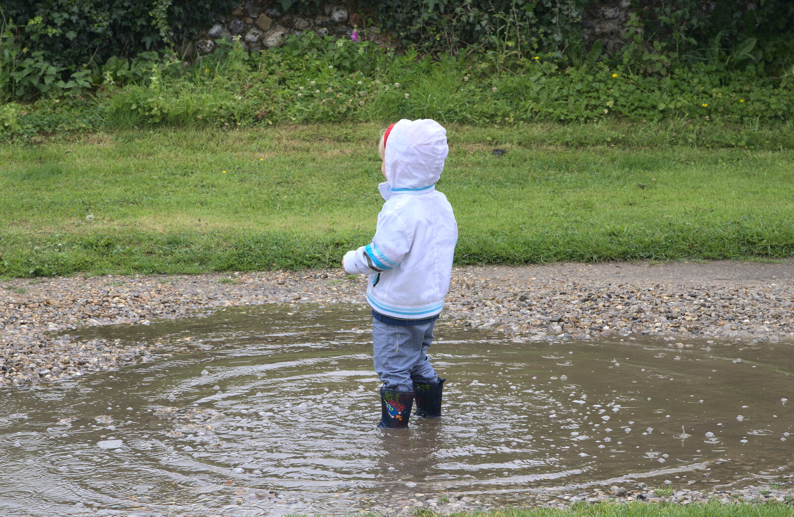 Harry stands in a puddle from Thrandeston Pig, Little Green, Thrandeston, Suffolk - 29th June 2014