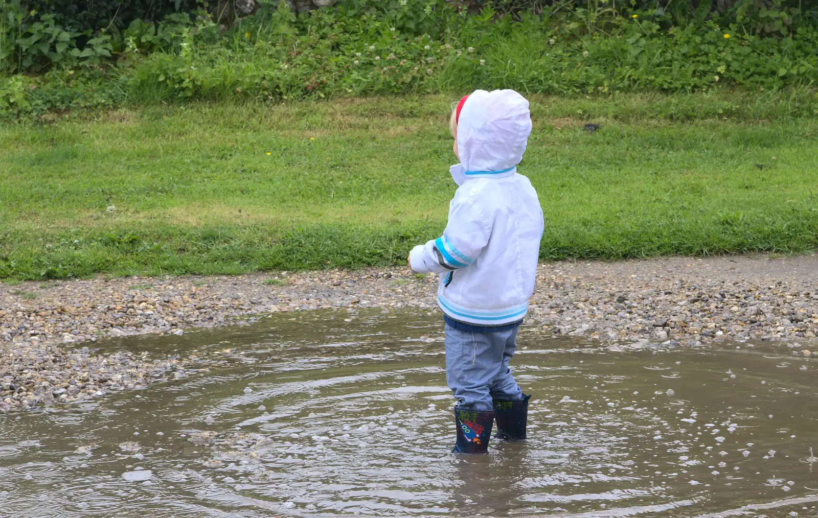 Harry stands in a puddle, from Thrandeston Pig, Little Green, Thrandeston, Suffolk - 29th June 2014