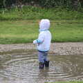 Harry stands in a puddle, Thrandeston Pig, Little Green, Thrandeston, Suffolk - 29th June 2014
