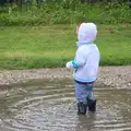 Harry stands in a puddle, Thrandeston Pig, Little Green, Thrandeston, Suffolk - 29th June 2014