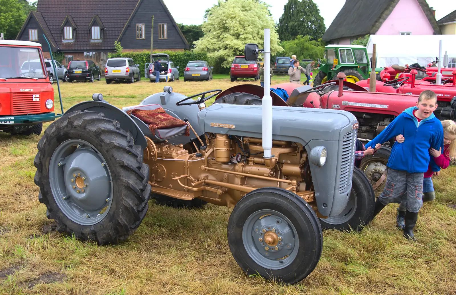 The gold Fergie again, from Thrandeston Pig, Little Green, Thrandeston, Suffolk - 29th June 2014