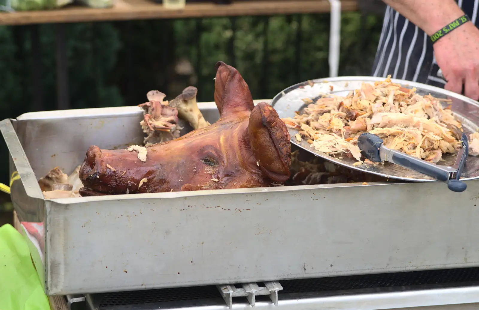 A hog's head, from Thrandeston Pig, Little Green, Thrandeston, Suffolk - 29th June 2014