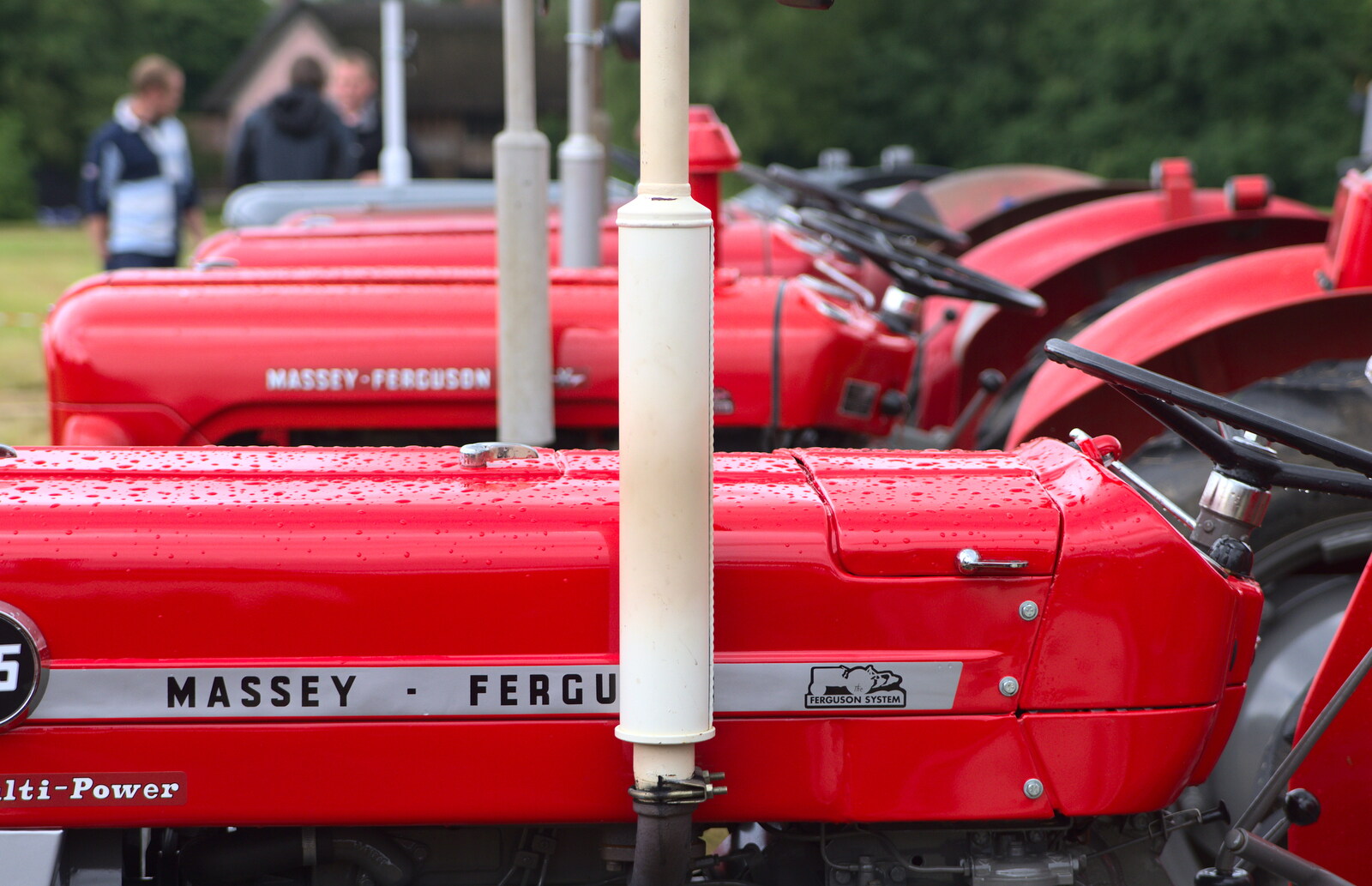 A line-up of red Massey-Fergusons from Thrandeston Pig, Little Green, Thrandeston, Suffolk - 29th June 2014
