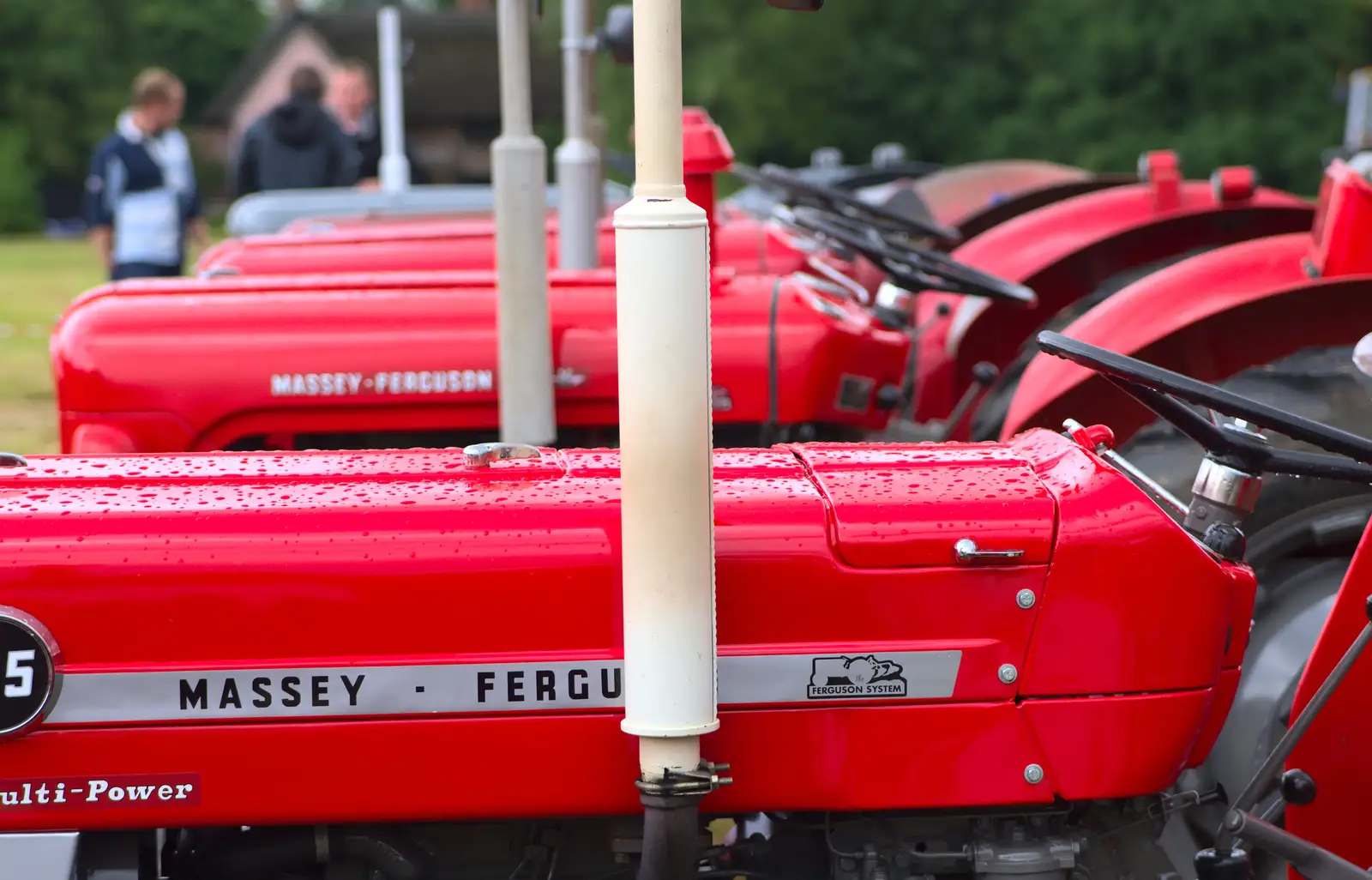 A line-up of red Massey-Fergusons, from Thrandeston Pig, Little Green, Thrandeston, Suffolk - 29th June 2014