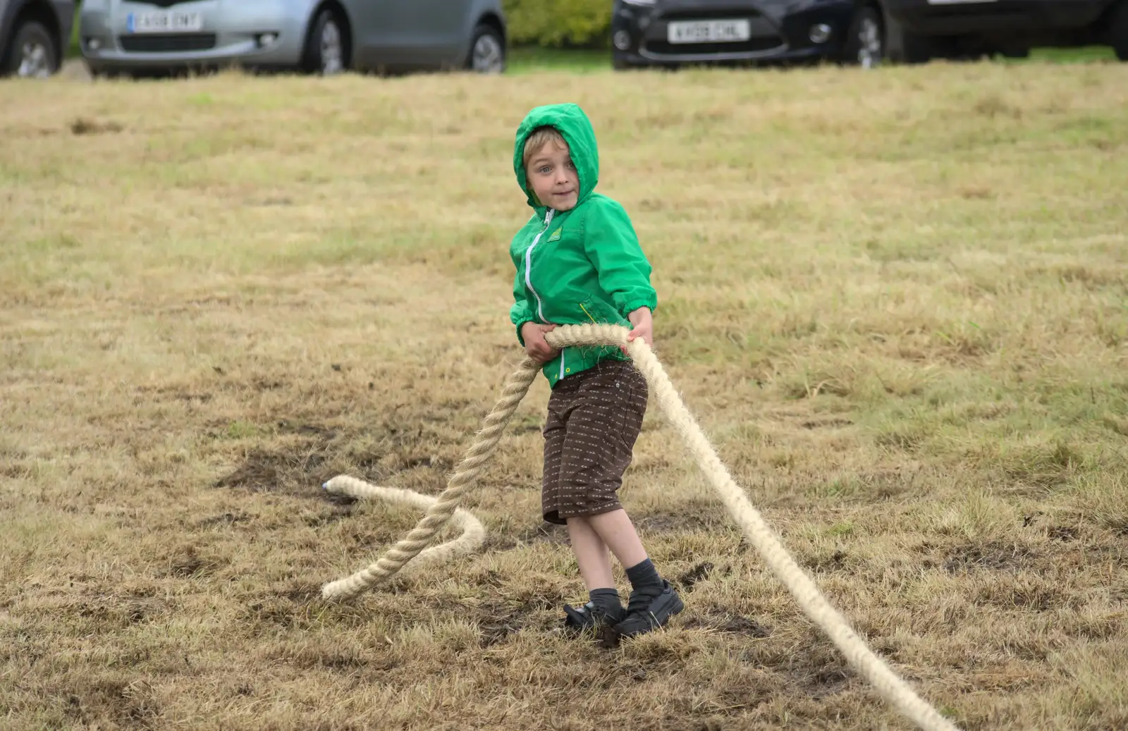 Fred grabs the rope, from Thrandeston Pig, Little Green, Thrandeston, Suffolk - 29th June 2014