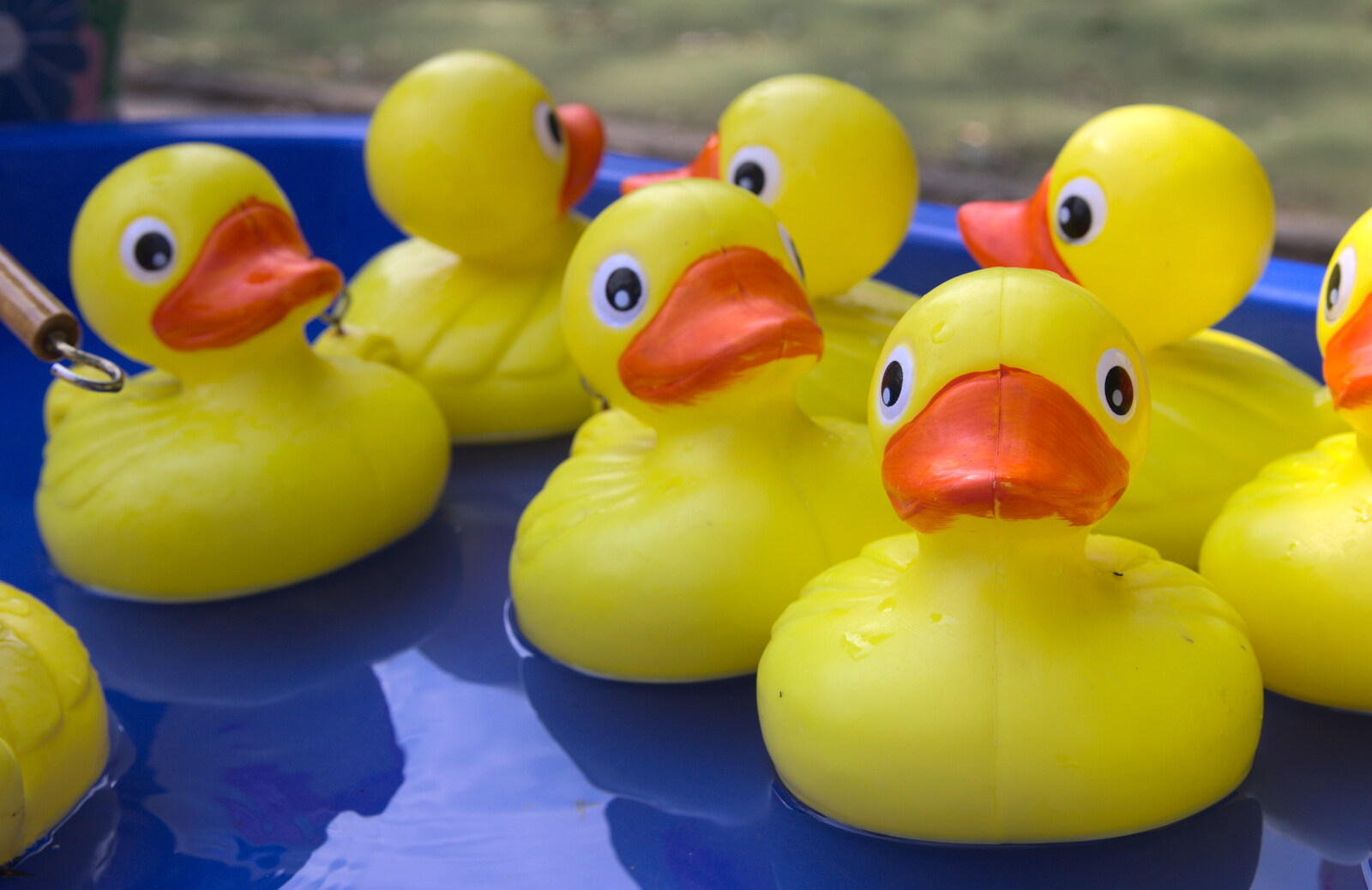 Floating plastic ducks from St. Peter and St. Paul's School Summer Fete, Eye, Suffolk - 12th July 2014