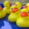 Floating plastic ducks, St. Peter and St. Paul's School Summer Fete, Eye, Suffolk - 12th July 2014