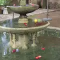 Apples float in a fountain, The Open Education Challenge, Barcelona, Catalonia - 13th July 2014