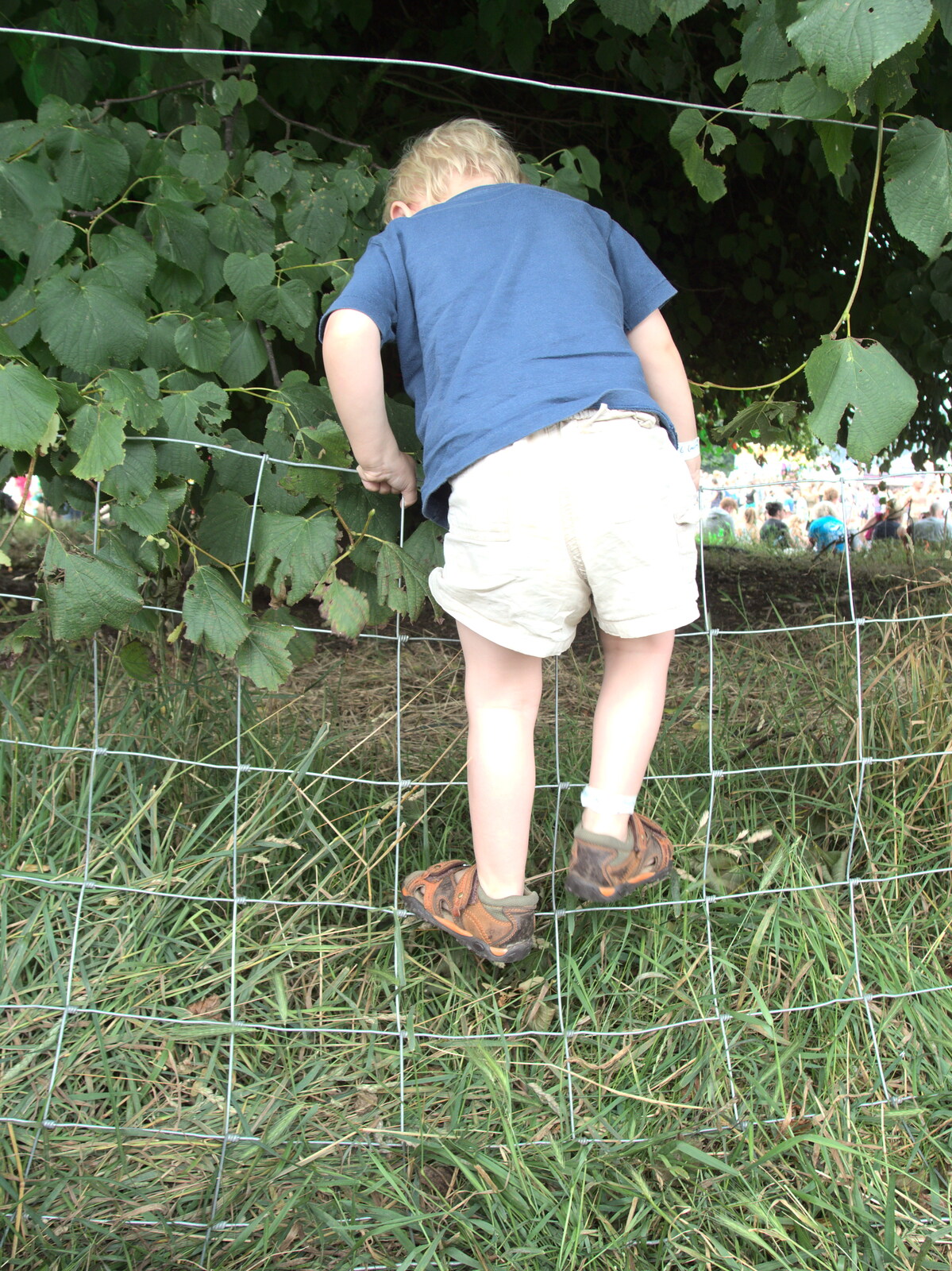 Back at Latitude, Harry tries to escape from Latitude Festival, Henham Park, Southwold, Suffolk - 17th July 2014