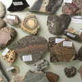 A nice collection of rock specimens, Latitude Festival, Henham Park, Southwold, Suffolk - 17th July 2014