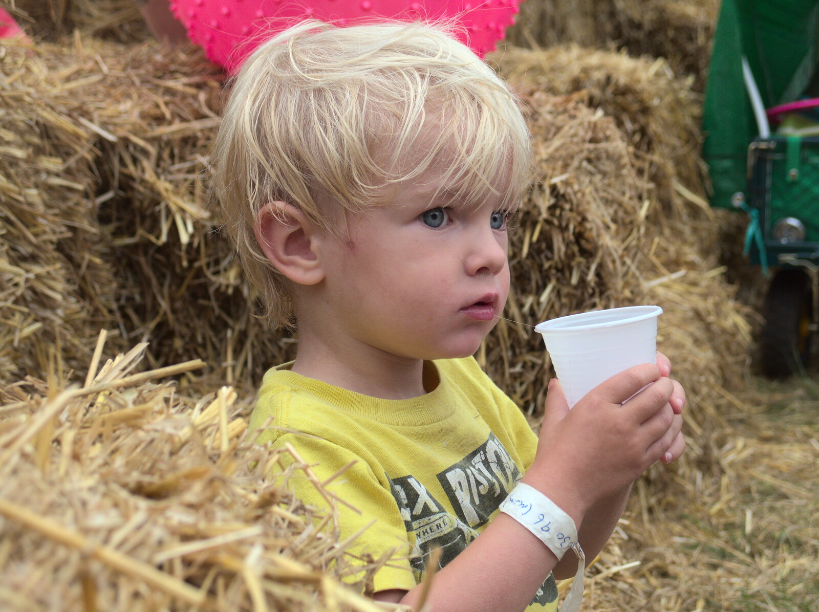 Harry pauses for a drink from Latitude Festival, Henham Park, Southwold, Suffolk - 17th July 2014
