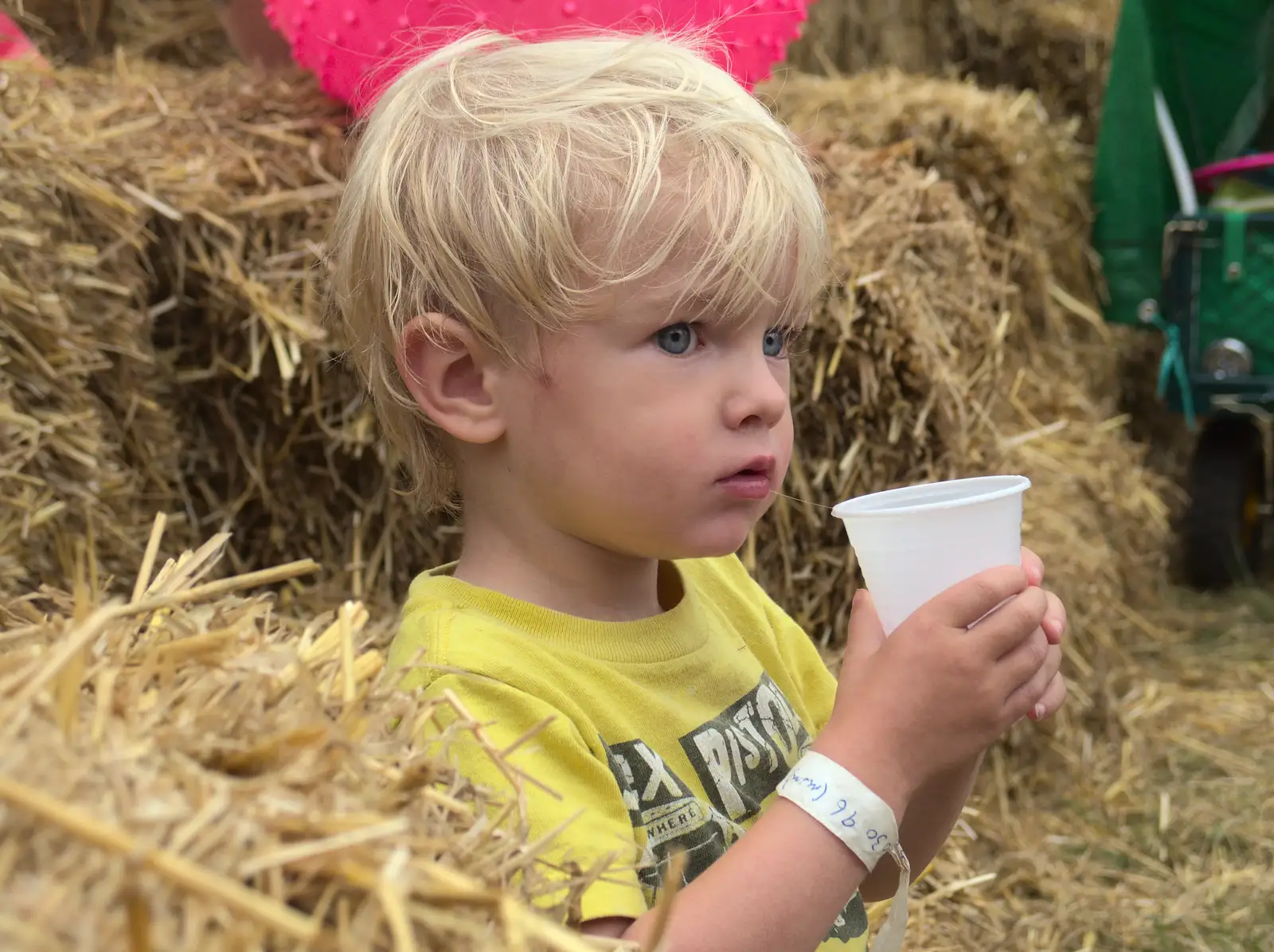 Harry pauses for a drink, from Latitude Festival, Henham Park, Southwold, Suffolk - 17th July 2014