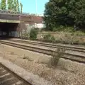 Graffiti on a bridge and weeds on the tracks, A Week on the Rails, Stratford and Liverpool Street, London - 23rd July