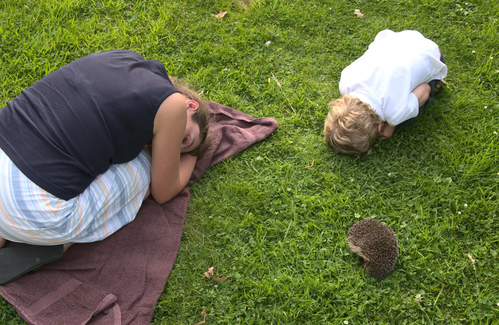 Isobel and Fred roll up like Hedgey the Hedgehog, from Bob and Bernice's 50th Wedding Anniversary, Hinton Admiral, Dorset - 25th July 2014