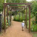 Gabes wanders off, Bob and Bernice's 50th Wedding Anniversary, Hinton Admiral, Dorset - 25th July 2014