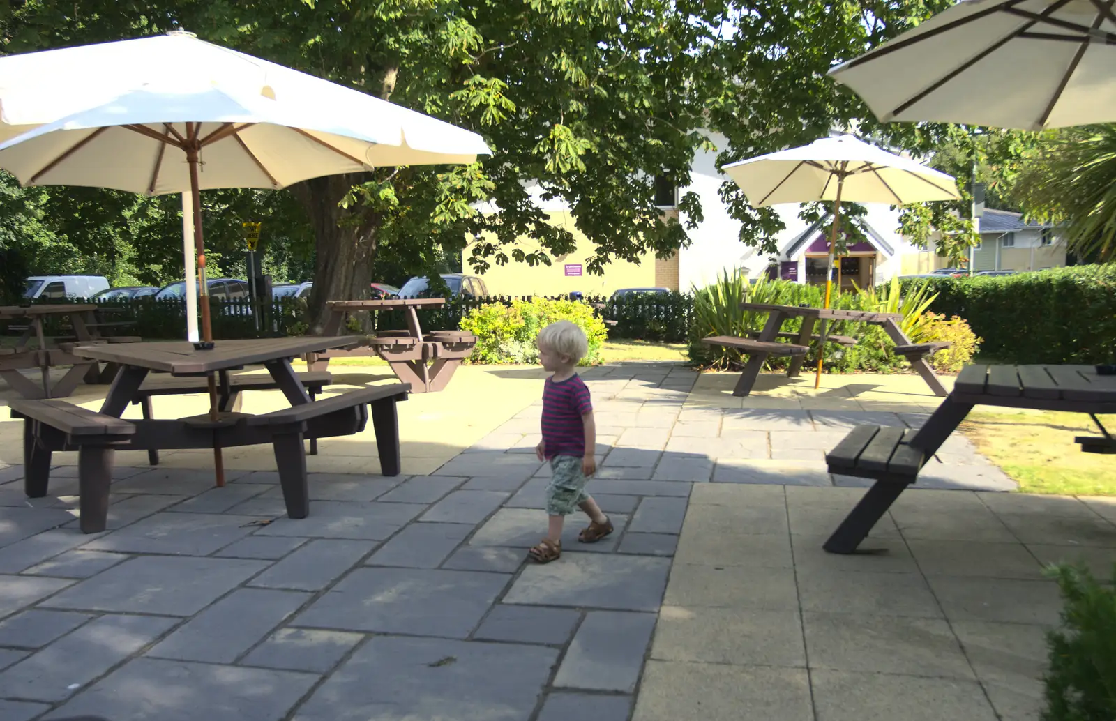 Harry wanders about in the Globe's beer garden, from Bob and Bernice's 50th Wedding Anniversary, Hinton Admiral, Dorset - 25th July 2014