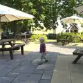 Harry wanders about in the Globe's beer garden, Bob and Bernice's 50th Wedding Anniversary, Hinton Admiral, Dorset - 25th July 2014