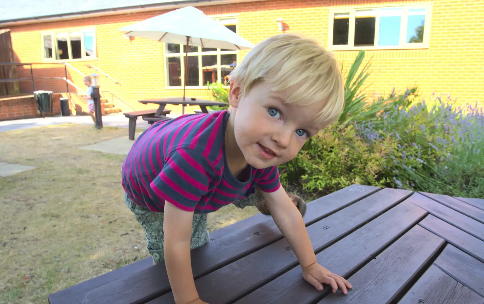 Harry climbs tables at the Premier Inn, Highcliffe, from Bob and Bernice's 50th Wedding Anniversary, Hinton Admiral, Dorset - 25th July 2014