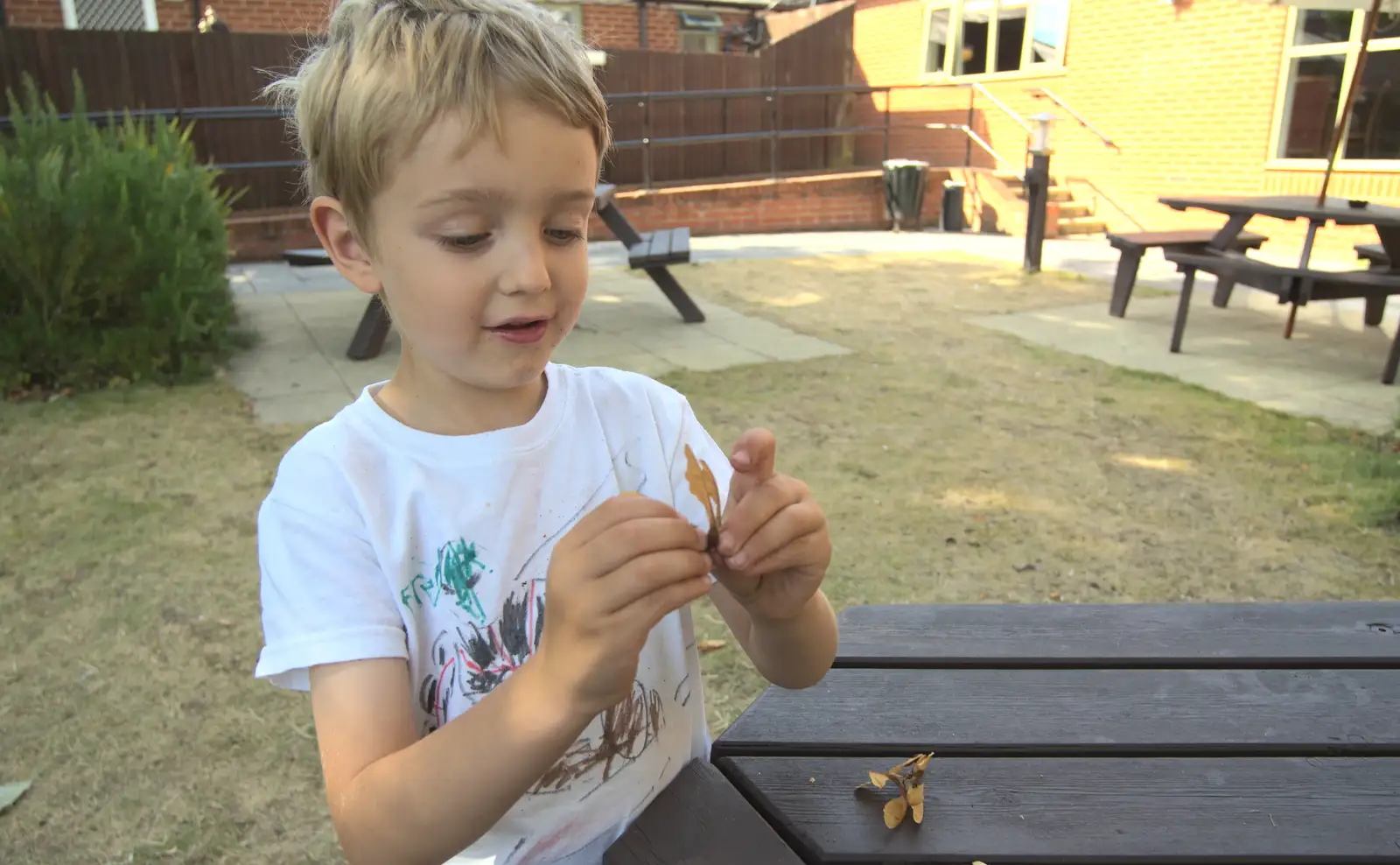 Fred finds some helicopter seeds, from Bob and Bernice's 50th Wedding Anniversary, Hinton Admiral, Dorset - 25th July 2014