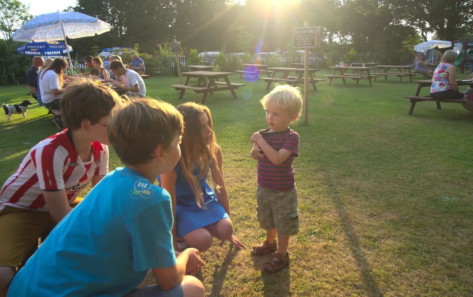 Harry holds court, from Bob and Bernice's 50th Wedding Anniversary, Hinton Admiral, Dorset - 25th July 2014