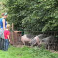 The BSCC at Harleston, and a Visit From Cambridge, Brome, Suffolk - 31st July 2014, Mikey-P's pigs have moved over to Wavy's