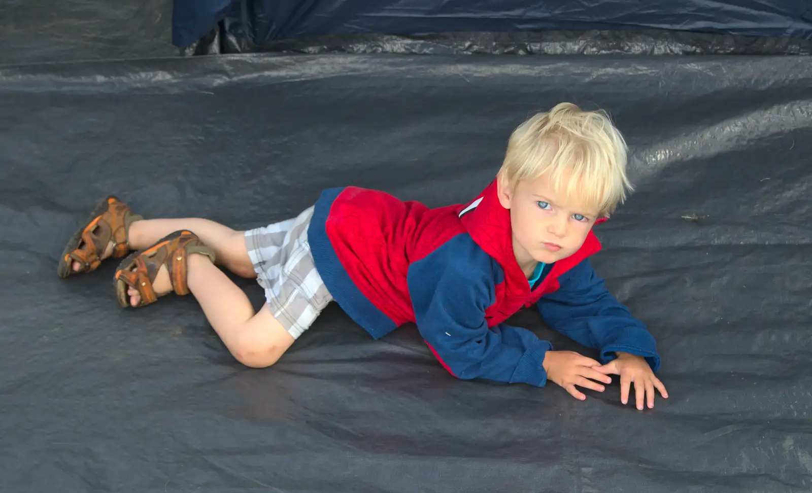 Harry does some sort of Zoolander 'look', from Camping at Silver Strand, Wicklow, County Wicklow, Ireland - 7th August 2014