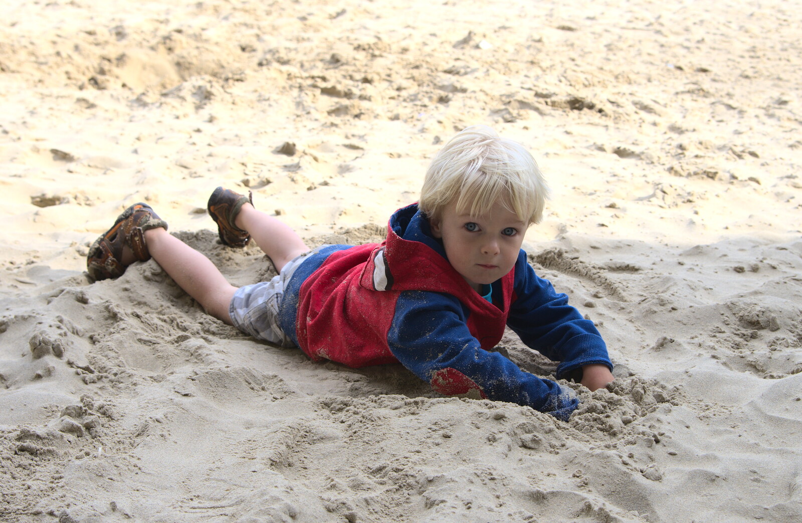 Harry - Baby Gabey - messes around in the sand from Camping at Silver Strand, Wicklow, County Wicklow, Ireland - 7th August 2014