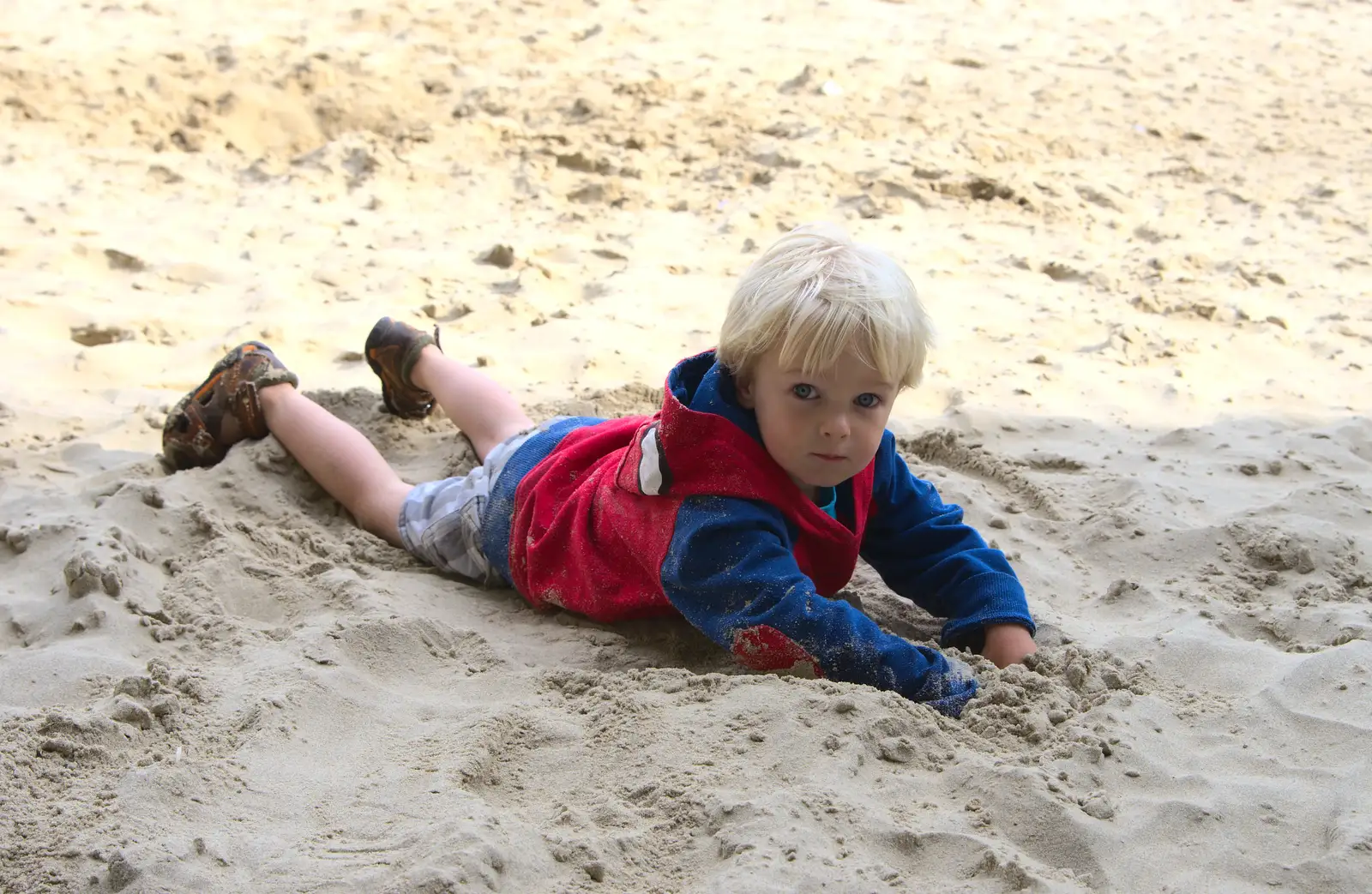 Harry - Baby Gabey - messes around in the sand, from Camping at Silver Strand, Wicklow, County Wicklow, Ireland - 7th August 2014