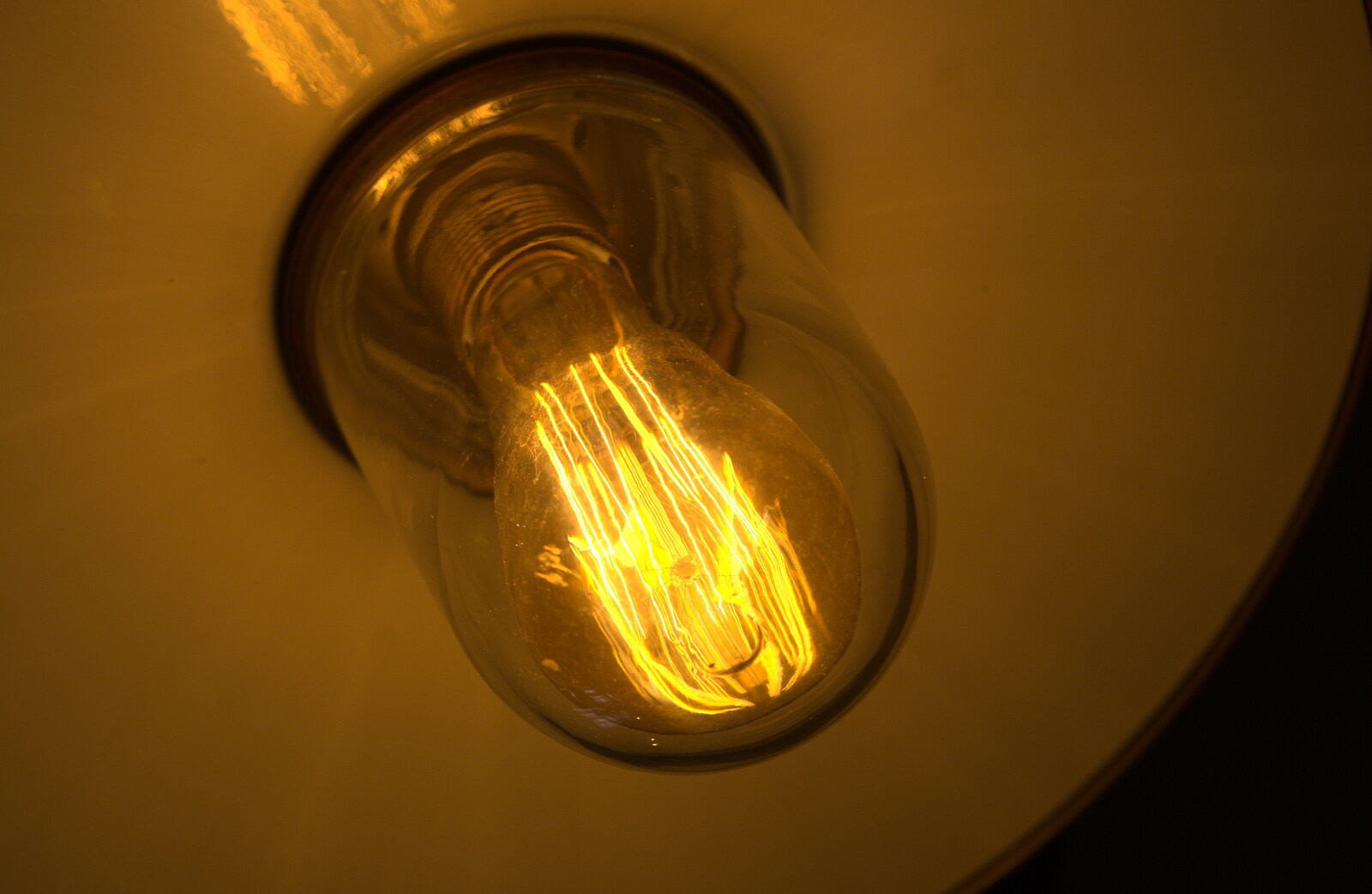 Funky lightbulb from Camping at Silver Strand, Wicklow, County Wicklow, Ireland - 7th August 2014