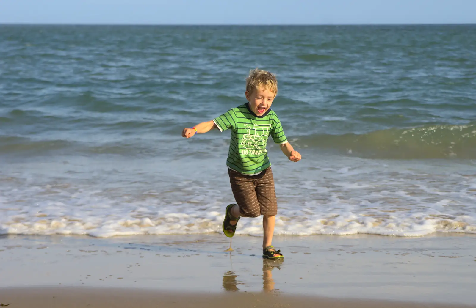 Fred runs around, from Camping at Silver Strand, Wicklow, County Wicklow, Ireland - 7th August 2014