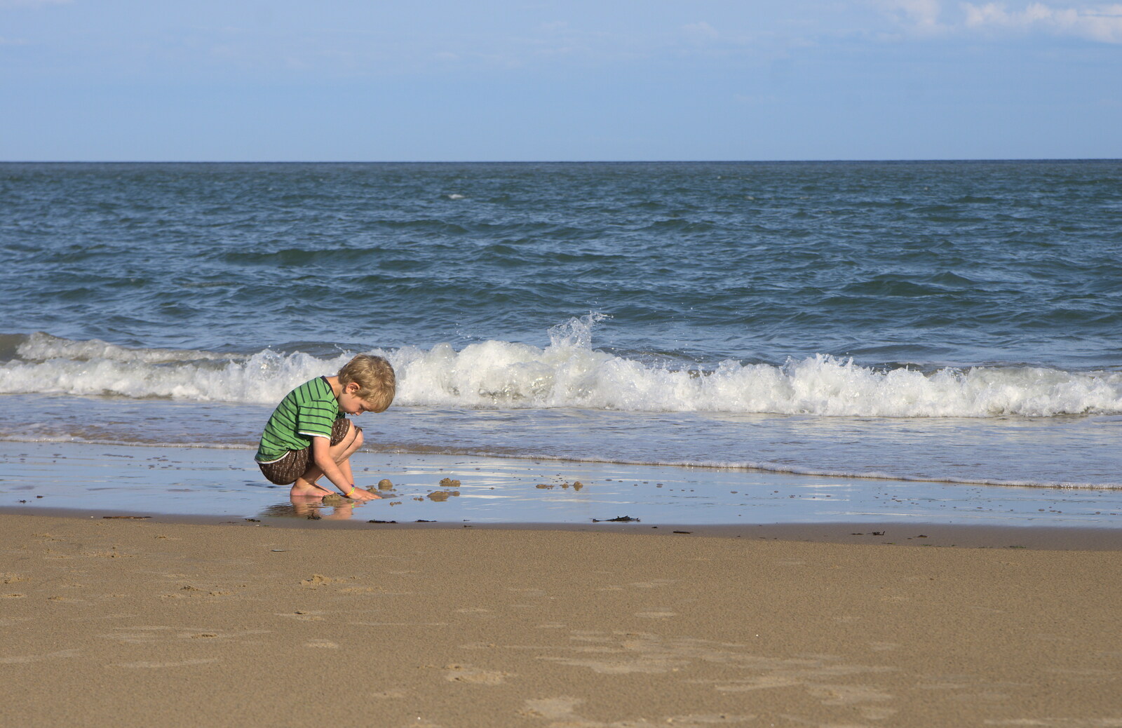 Fred pokes about in the sand from Camping at Silver Strand, Wicklow, County Wicklow, Ireland - 7th August 2014