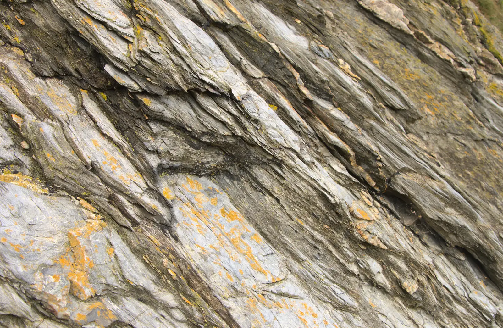 The shale has a shiny silvery coating, from Camping at Silver Strand, Wicklow, County Wicklow, Ireland - 7th August 2014