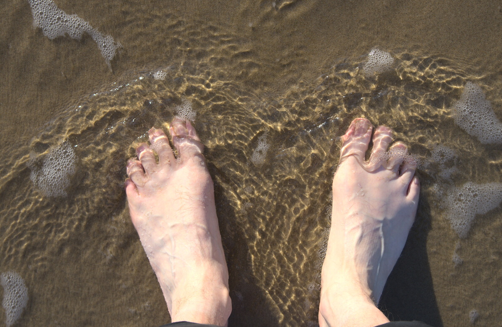 Nosher's feet in the sea from Camping at Silver Strand, Wicklow, County Wicklow, Ireland - 7th August 2014