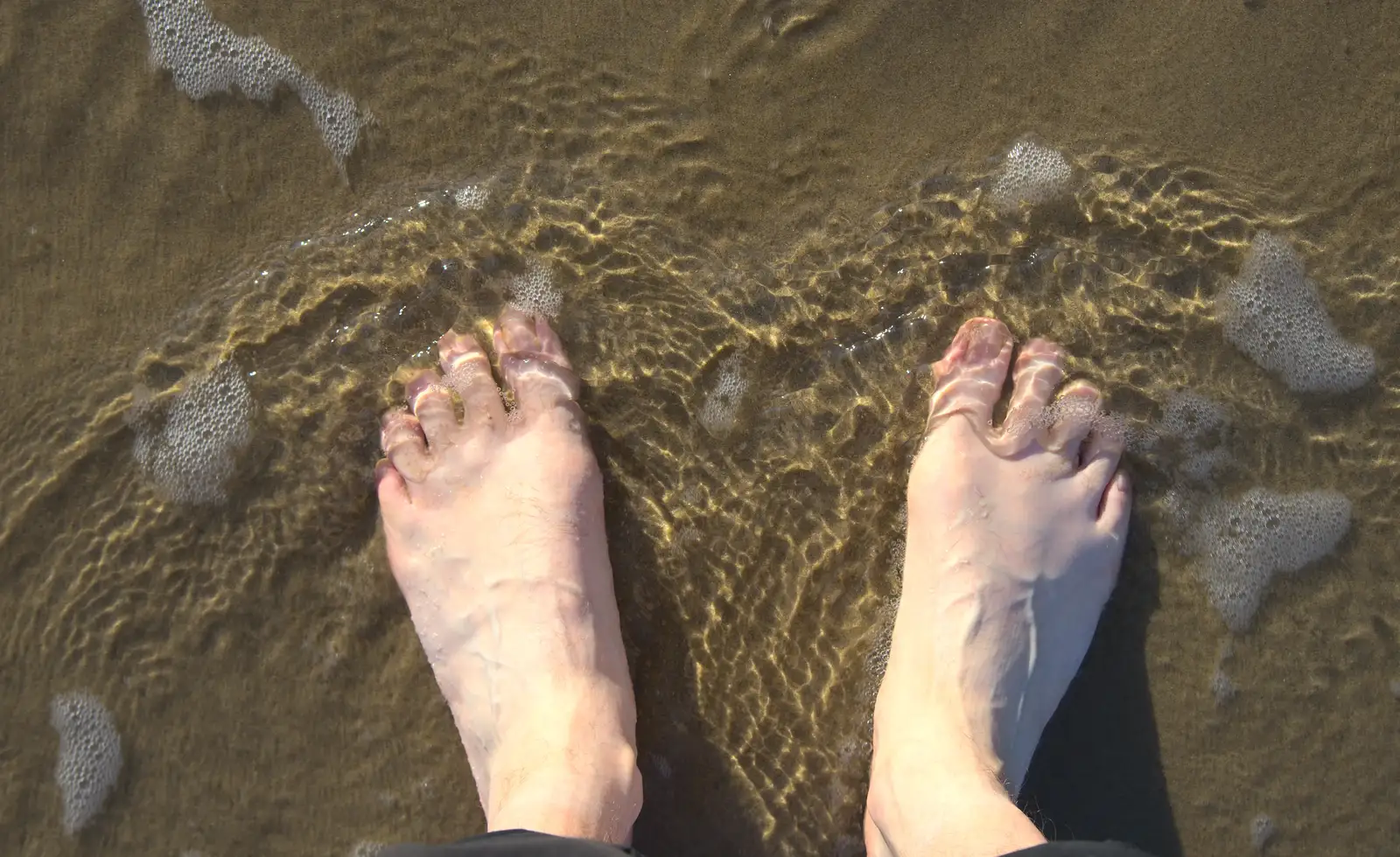 Nosher's feet in the sea, from Camping at Silver Strand, Wicklow, County Wicklow, Ireland - 7th August 2014