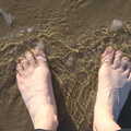 Nosher's feet in the sea, Camping at Silver Strand, Wicklow, County Wicklow, Ireland - 7th August 2014