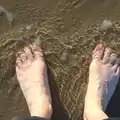 Nosher's feet in the sea, Camping at Silver Strand, Wicklow, County Wicklow, Ireland - 7th August 2014