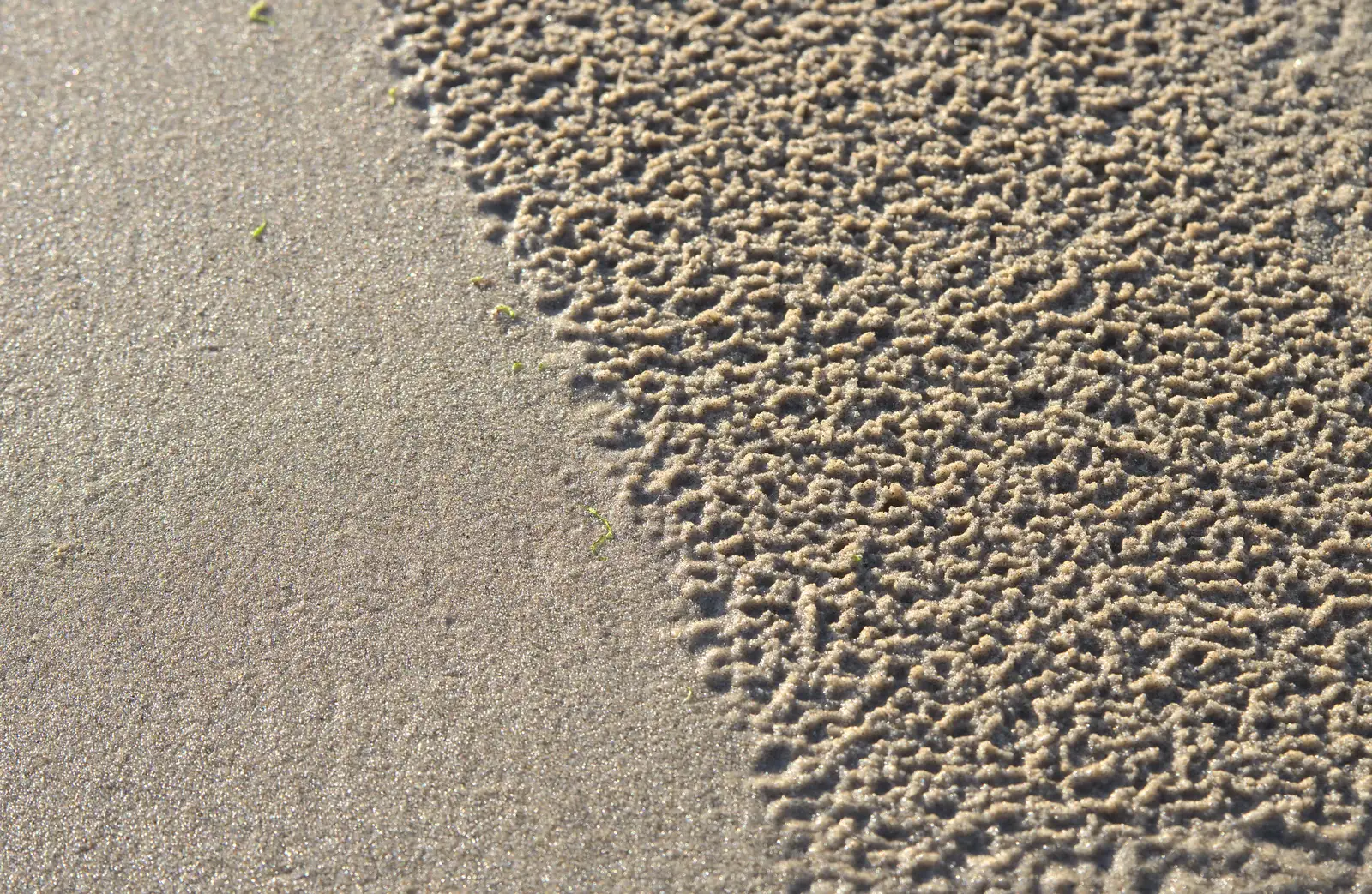 Rain-splattered sand smoothed by the sea, from Camping at Silver Strand, Wicklow, County Wicklow, Ireland - 7th August 2014