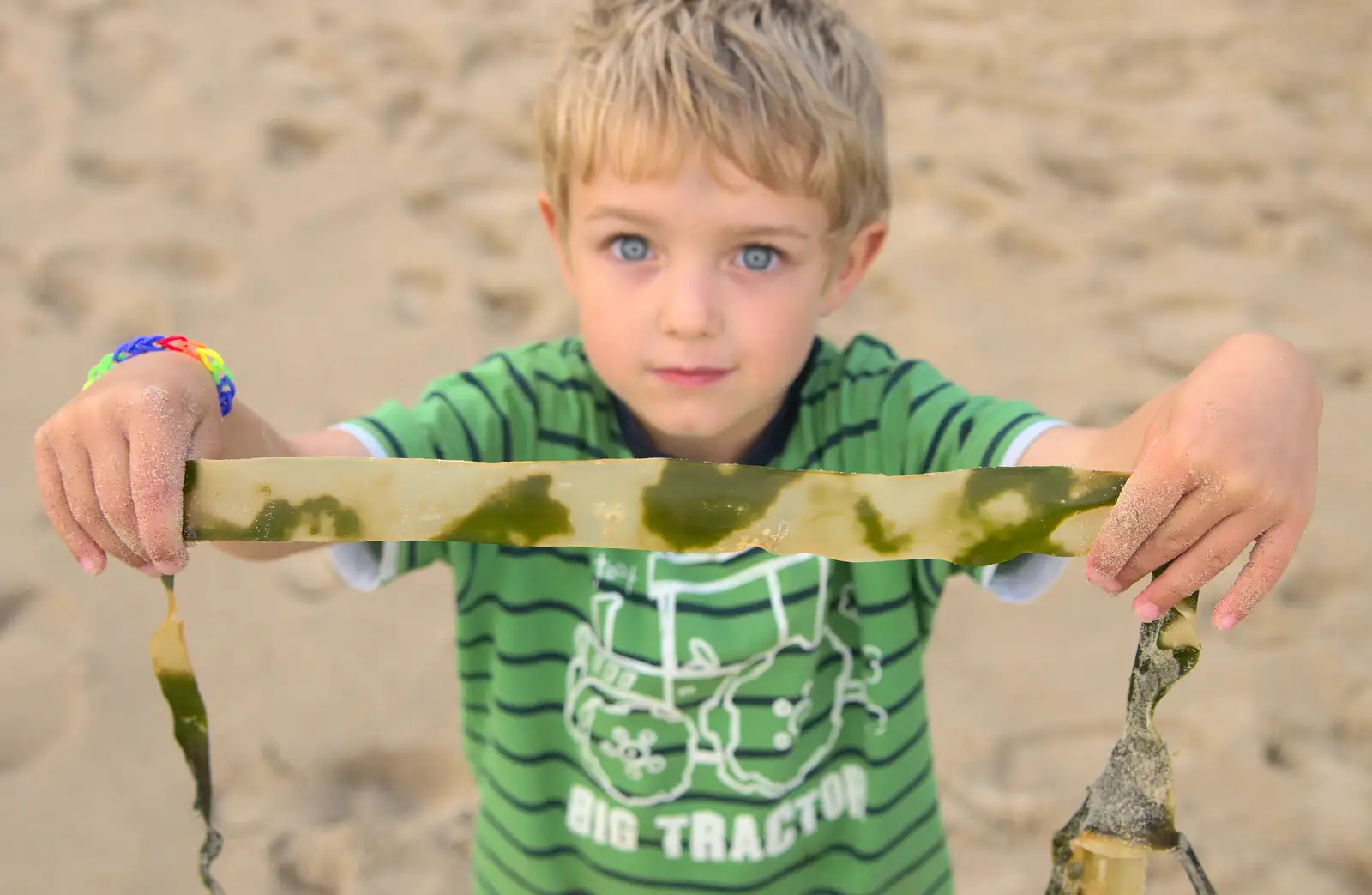 Fred holds up some cool 'camouflaged' seaweed, from Camping at Silver Strand, Wicklow, County Wicklow, Ireland - 7th August 2014